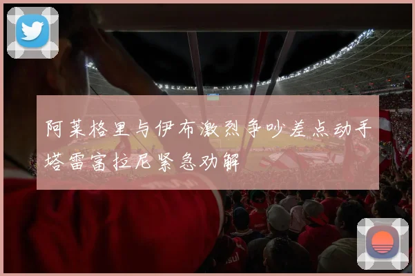 阿莱格里与伊布激烈争吵差点动手塔雷富拉尼紧急劝解