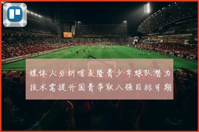 媒体人分析喀麦隆青少年球队潜力技术需提升国青争取八强目标可期