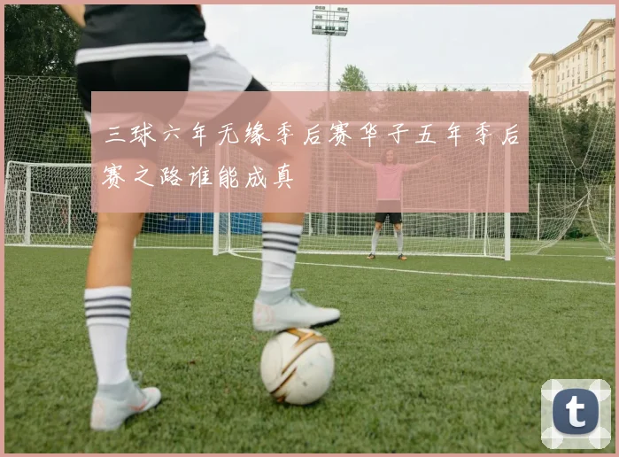 三球六年无缘季后赛华子五年季后赛之路谁能成真